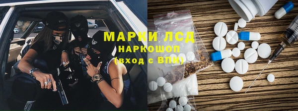 индика Володарск