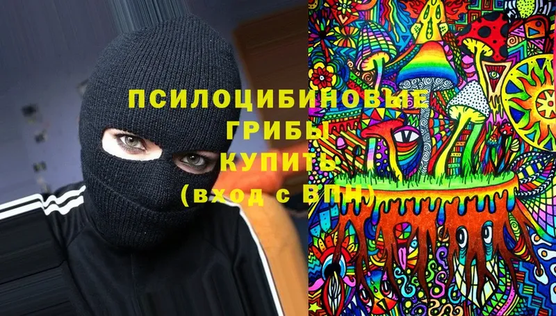 где купить   Бирск  Галлюциногенные грибы мицелий 